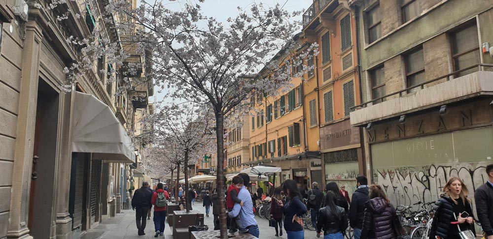 bologna-italy-maria-frangieh-blog-travel-street bologna-italy-maria-frangieh-blog-travel-street