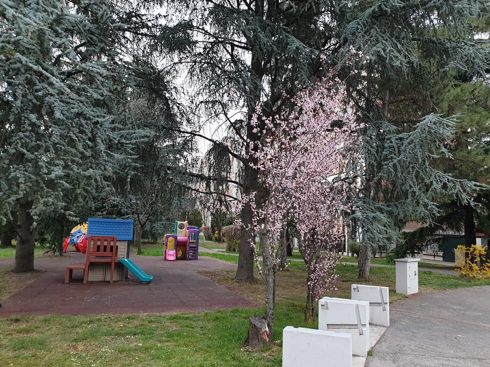 bologna-italy-playground-maria-frangieh-blog-travel bologna-italy-playground-maria-frangieh-blog-travel