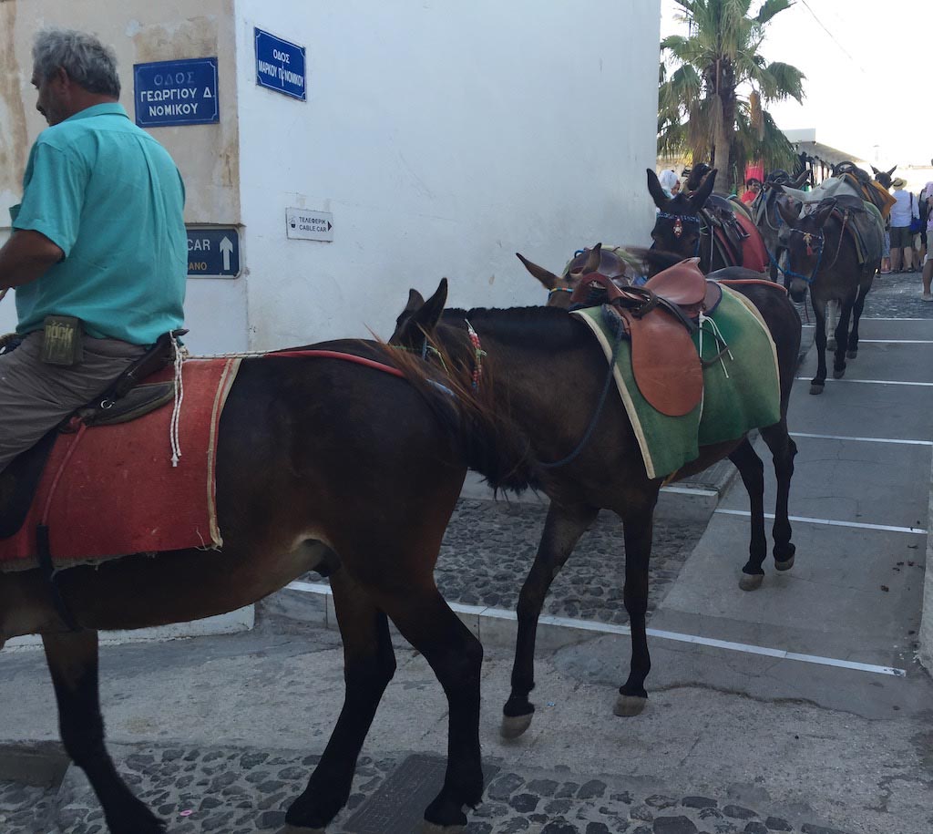 santorini-donkey-greece-maria-frangieh-blog-travel